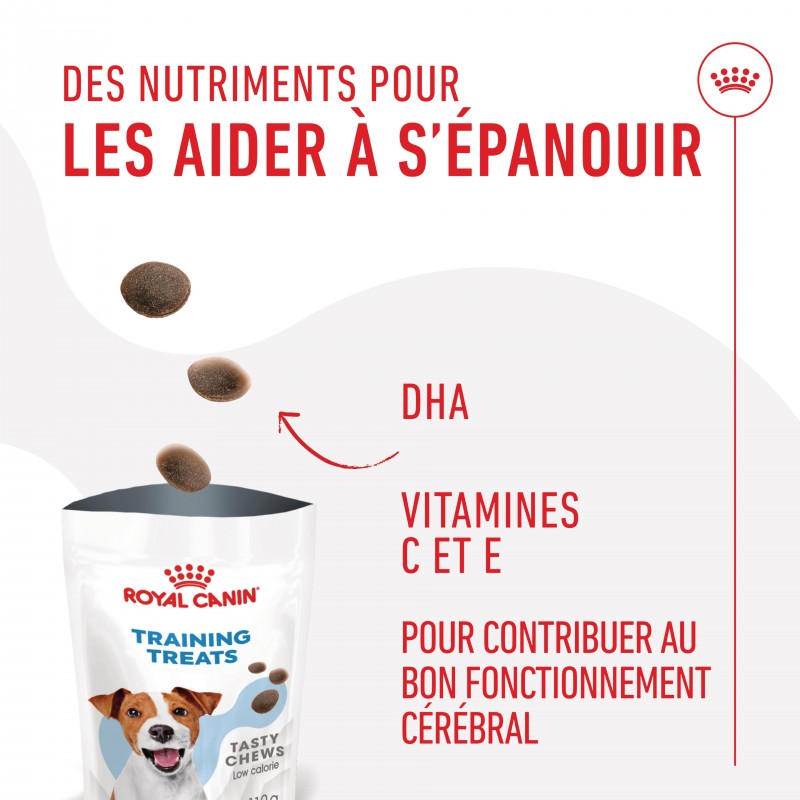 Royal Canin Training Treats Pour chien sachet de 110g - JungleVet Royal Canin Training Treats Pour chien sachet de 110g - JungleVet