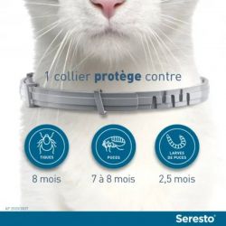 Collier Seresto pour chats