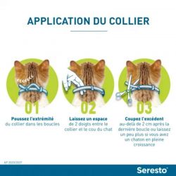 Collier Seresto pour chats