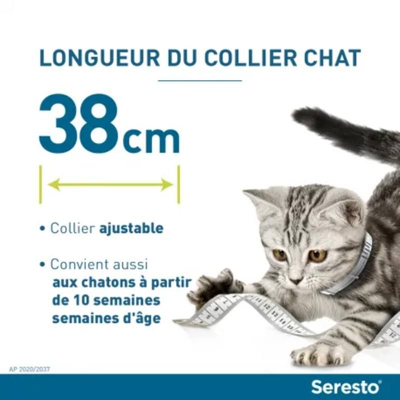 Collier Seresto pour chats