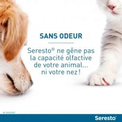 Collier Seresto pour chats