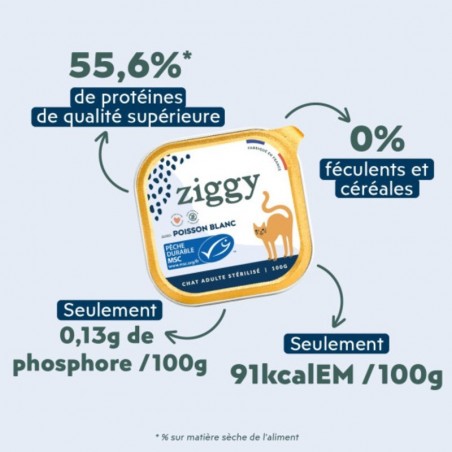 Ziggy Chat Adulte Stérilisé Poisson blanc Pâtée 4 barquettes de 100 g - JungleVet Ziggy Chat Adulte Stérilisé Poisson blanc Pâtée 4 barquettes de 100 g - JungleVet