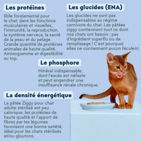 Ziggy Chat Adulte Stérilisé Poisson blanc Pâtée 4 barquettes de 100 g - JungleVet Ziggy Chat Adulte Stérilisé Poisson blanc Pâtée 4 barquettes de 100 g - JungleVet