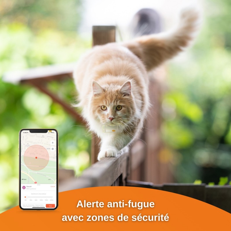 Collier GPS Weenect Cats 2 - JungleVet Collier GPS Weenect Cats 2 - JungleVet