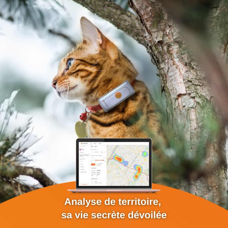 Collier GPS Weenect Cats 2 - JungleVet Collier GPS Weenect Cats 2 - JungleVet