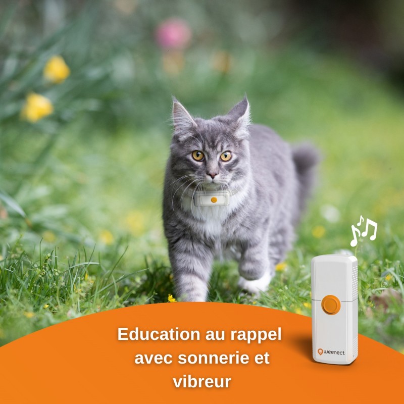 Collier GPS Weenect Cats 2 - JungleVet Collier GPS Weenect Cats 2 - JungleVet