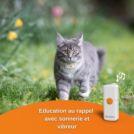 Collier GPS Weenect Cats 2 - JungleVet Collier GPS Weenect Cats 2 - JungleVet