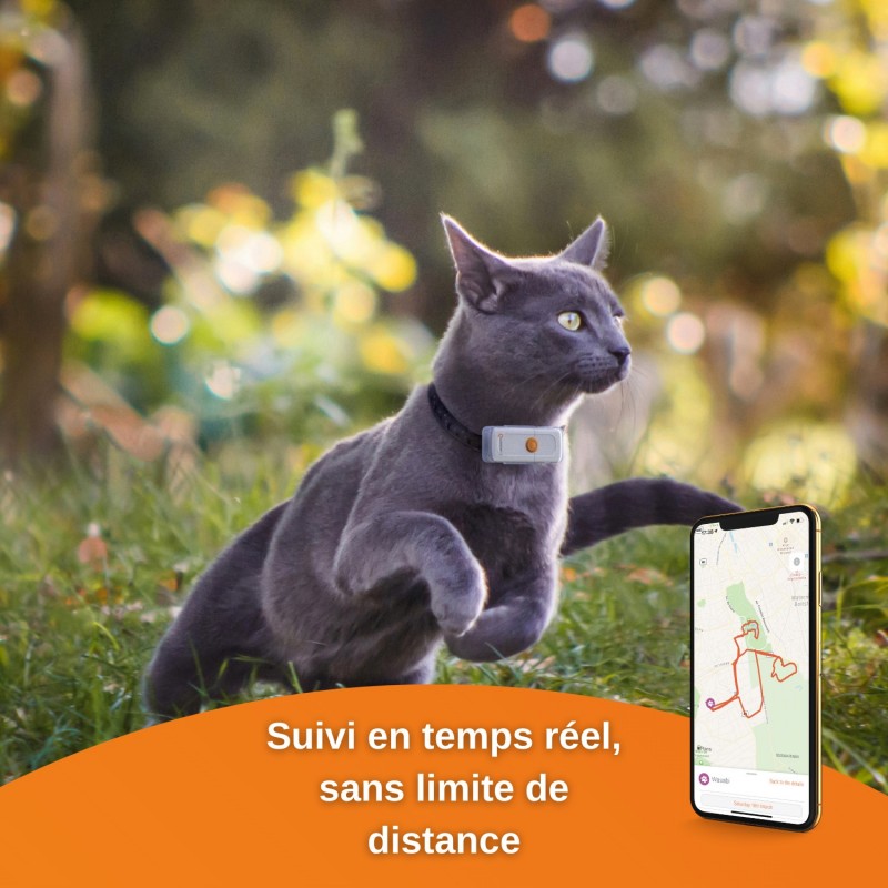 Collier GPS Weenect Cats 2 - JungleVet Collier GPS Weenect Cats 2 - JungleVet