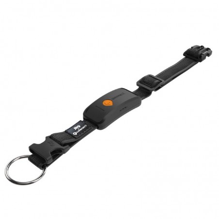GPS Weenect XT pour chien Noir - JungleVet GPS Weenect XT pour chien Noir - JungleVet