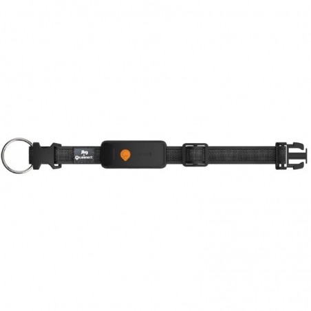 GPS Weenect XT pour chien Noir - JungleVet GPS Weenect XT pour chien Noir - JungleVet