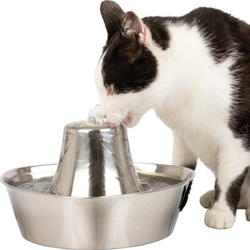 Fontaine PetSafe Seaside pour chats et chiens - JungleVet Fontaine PetSafe Seaside pour chats et chiens - JungleVet