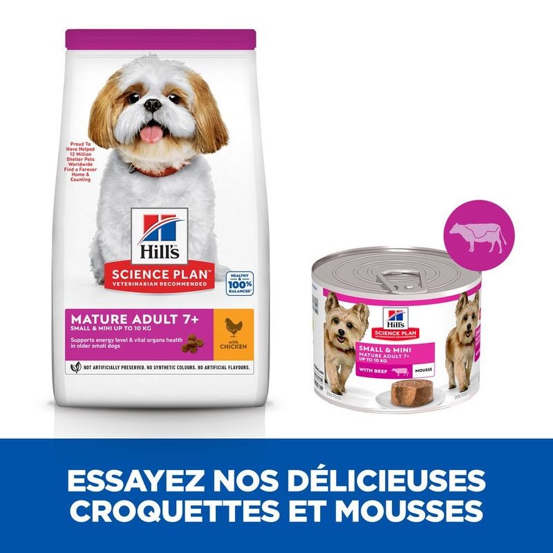 Hill's Science Plan chien senior 7+ Small & Mini Boeuf mousse 12 boites de 200 g - JungleVet