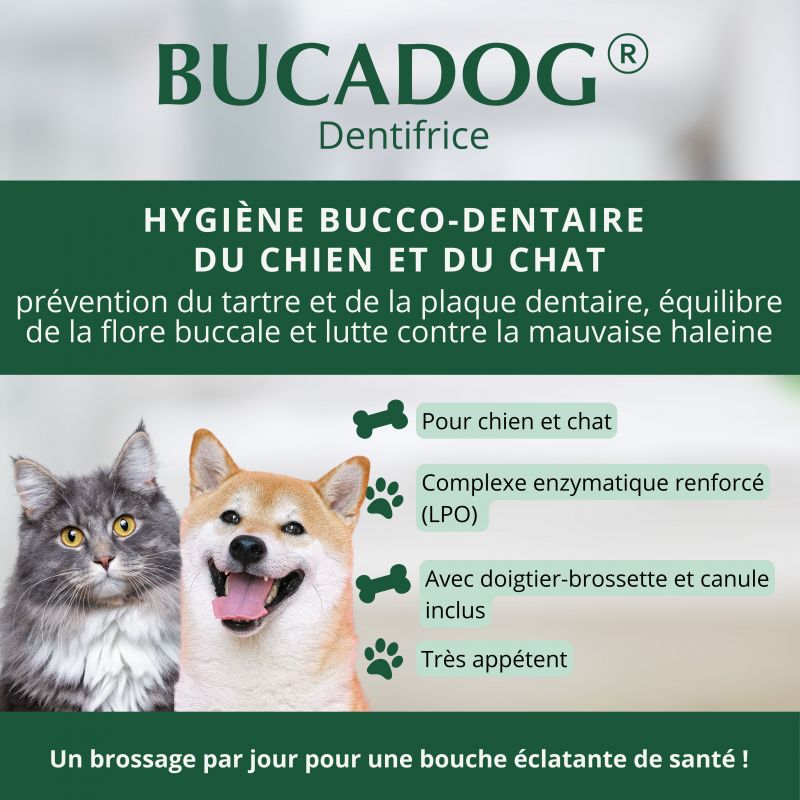 Bucadog dentifrice tube de 70 g - JungleVet Bucadog dentifrice tube de 70 g - JungleVet