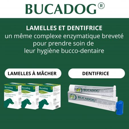 Bucadog dentifrice tube de 70 g - JungleVet Bucadog dentifrice tube de 70 g - JungleVet