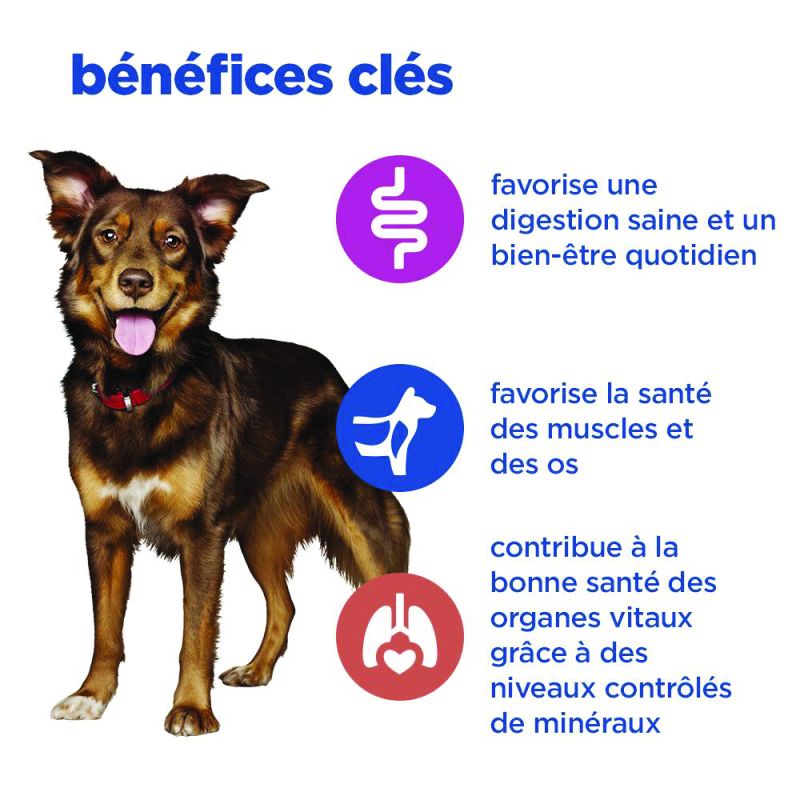 Hill's Vet Essentials Multi Benefit pour chien au poulet et légumes - 12 boîtes de 363 g - JungleVet Hill's Vet Essentials Multi Benefit pour chien au poulet et légumes - 12 boîtes de 363 g - JungleVet