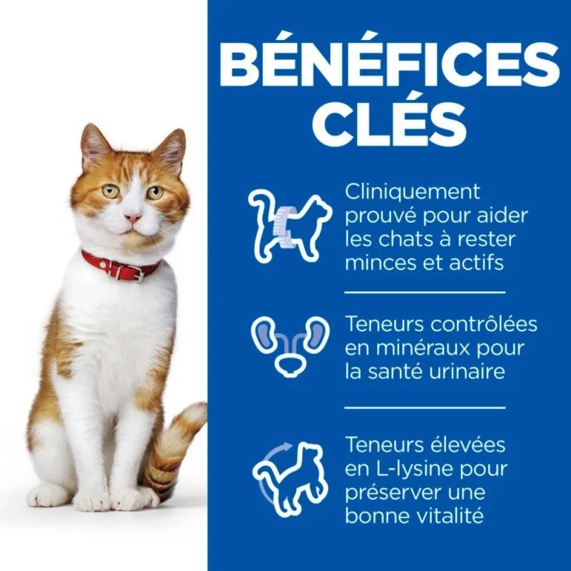 Hill's Science Plan Adult Sterilised pour chat au saumon - 12 sachets de 85 g - JungleVet Hill's Science Plan Adult Sterilised pour chat au saumon - 12 sachets de 85 g - JungleVet