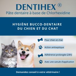 Dentihex tube de 20g - JungleVet