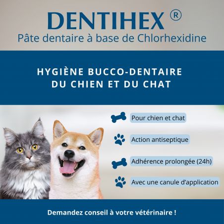 Dentihex tube de 20g - JungleVet Dentihex tube de 20g - JungleVet