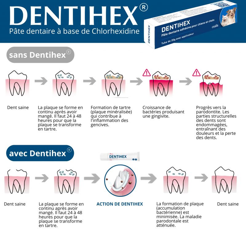 Dentihex tube de 20g - JungleVet Dentihex tube de 20g - JungleVet
