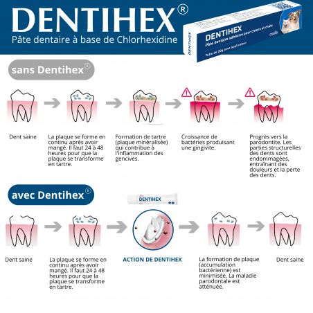 Dentihex tube de 20g - JungleVet Dentihex tube de 20g - JungleVet