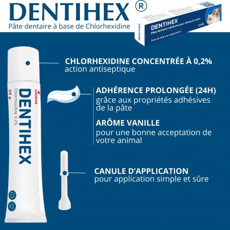 Dentihex tube de 20g - JungleVet Dentihex tube de 20g - JungleVet