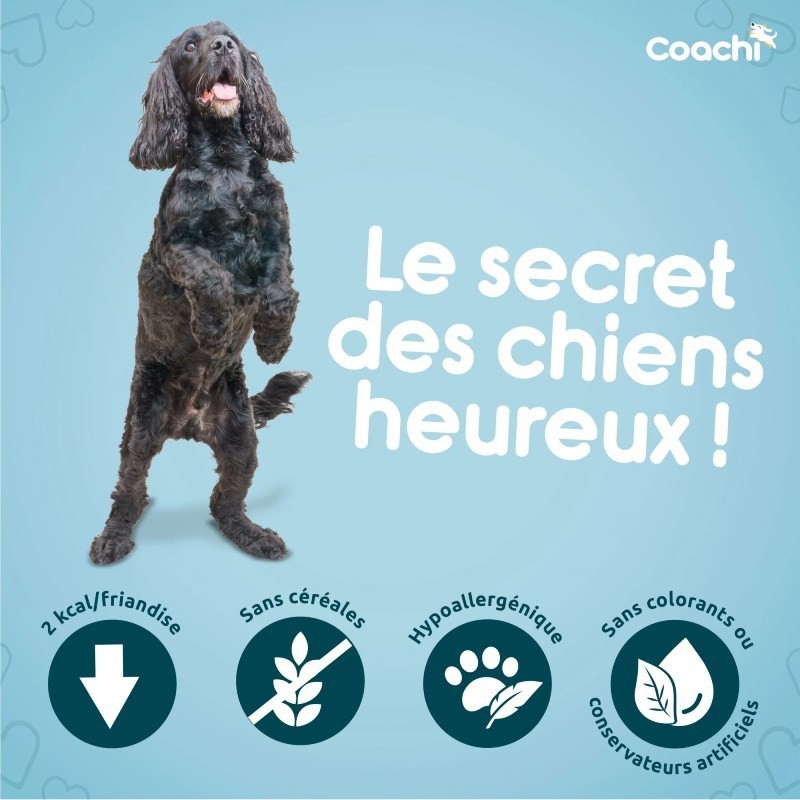 Friandises d'éducation Coachi Puppy Natural Poulet sachet de 100 g - JungleVet Friandises d'éducation Coachi Puppy Natural Poulet sachet de 100 g - JungleVet