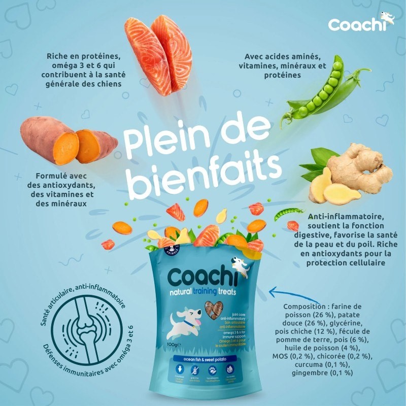 Friandises d'éducation Coachi Puppy Natural Poisson sachet de 100 g - JungleVet Friandises d'éducation Coachi Puppy Natural Poisson sachet de 100 g - JungleVet