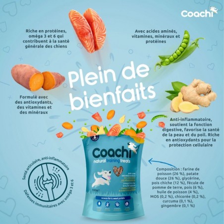 Friandises d'éducation Coachi Puppy Natural Poisson sachet de 100 g - JungleVet Friandises d'éducation Coachi Puppy Natural Poisson sachet de 100 g - JungleVet