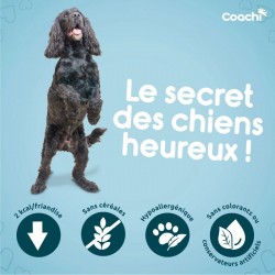 Friandises d'éducation Coachi Puppy Natural Poisson sachet de 100 g - JungleVet