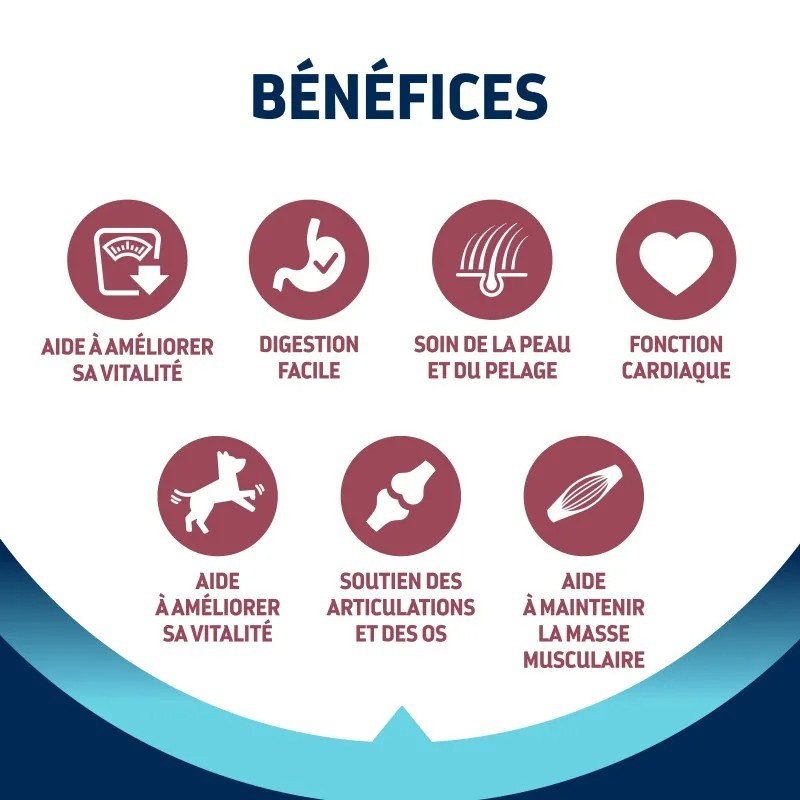 Advance Active Defense Chien Vitality +8 Senior Mini au Poulet sac de 3 kg - JungleVet Advance Active Defense Chien Vitality +8 Senior Mini au Poulet sac de 3 kg - JungleVet