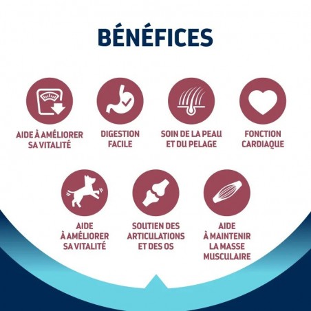 Advance Active Defense Chien Vitality +8 Senior Mini au Poulet sac de 3 kg - JungleVet Advance Active Defense Chien Vitality +8 Senior Mini au Poulet sac de 3 kg - JungleVet