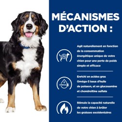 Hill's Prescription Diet Chien J/D Metabolic+Mobility pour Chien au Poulet - JungleVet