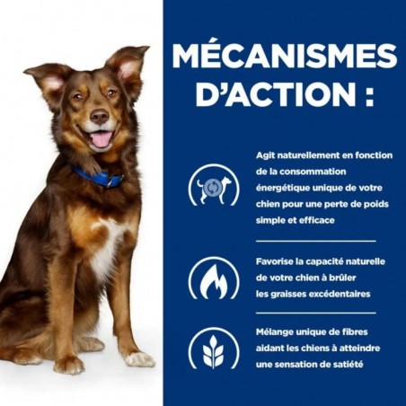 Hill's Prescription Diet Canine Metabolic Weight Loss & Maintenance Beef -12 boîtes de 370 g - JungleVet Hill's Prescription Diet Canine Metabolic Weight Loss & Maintenance Beef -12 boîtes de 370 g - JungleVet