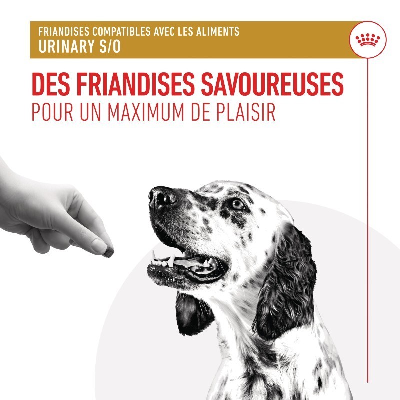 Royal Canin Urinary Treats pour chien sachet de 230g - JungleVet Royal Canin Urinary Treats pour chien sachet de 230g - JungleVet