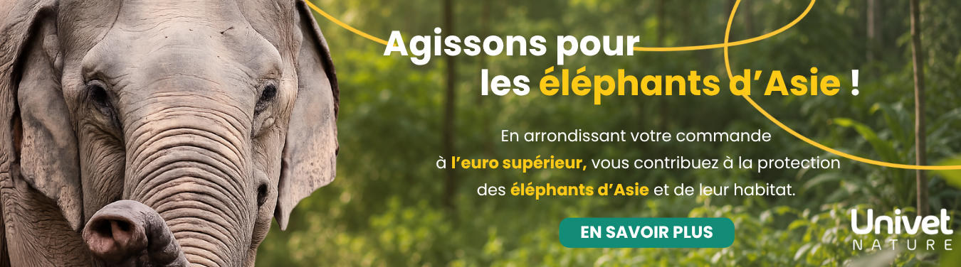 Bannière_homepage_1350x376.png