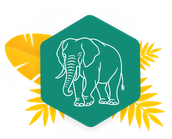 JungleVet soutient les lémuriens avec Univet Nature