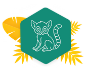 JungleVet soutient les lémuriens avec Univet Nature