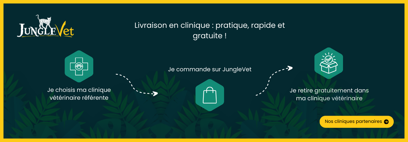 Achat responsable avec Junglevet