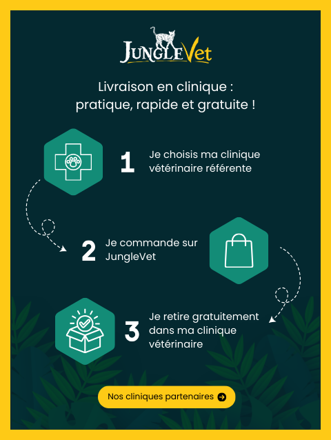 Achat responsable avec Junglevet