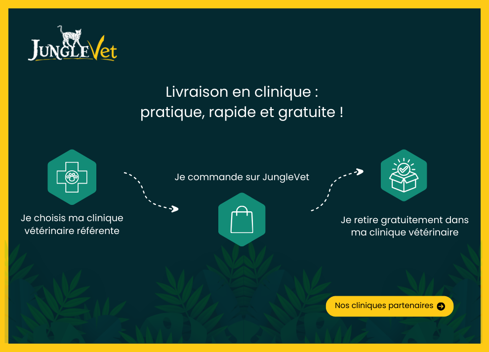 Achat responsable avec Junglevet