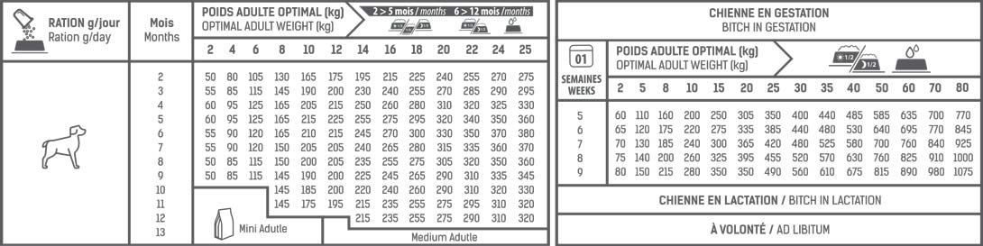 Ration Tonivet Junior Petites & Moyennes Races